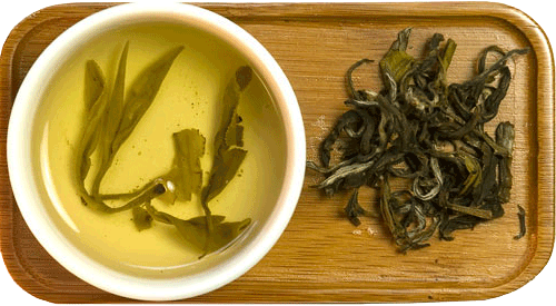 Fermented green tea for teeth and gum health