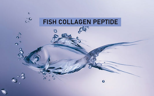 Collagen from fish, is it better?
